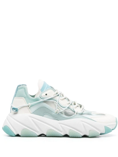 Ash Extrabis Low-top Sneakers In Light Blue