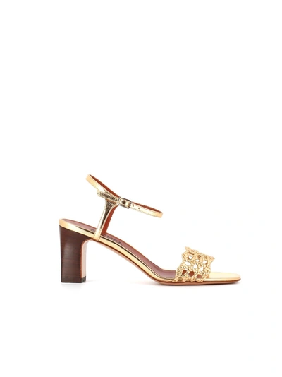 Michel Vivien Sandal Trani In Gold