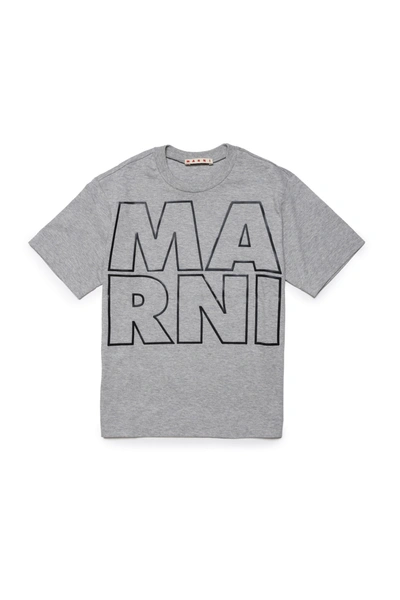 Marni Kids' Mt153u T-shirt  Grey T-shirt In Jersey With Displaced  Logo
