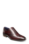 Stacy Adams Kaine Wingtip Oxford In Burgundy