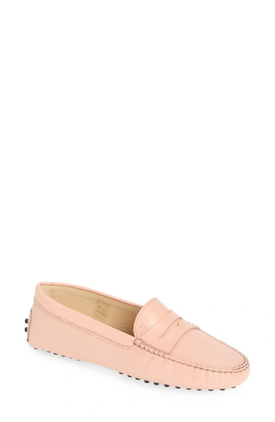 Tod's Women's City Gommini Driver Penny Loafers In Wisteria