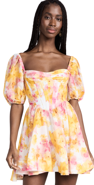 Bardot Kiah Floral Print Corset Puff Sleeve Minidress In Pink | ModeSens