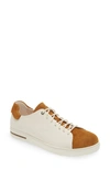 Birkenstock Panelled Low-top Sneakers In Mink Eggshell