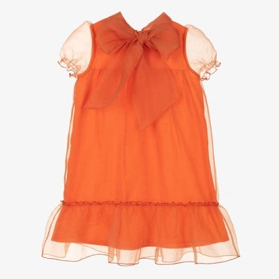 Mama Luma Babies' Girls Orange Organza Pussy Bow Dress