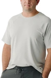 Cozy Earth Ultrasoft Raglan T-shirt In Light Grey