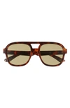 Aire Whirlpool Sunglasses In Light Brown