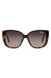 Tort Gold/ Smoke Polarized