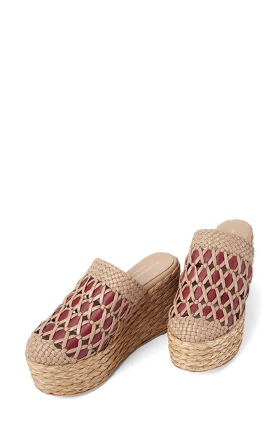 Paloma Barceló Naia Espadrille Wedge Mules In Ruby-nocciola