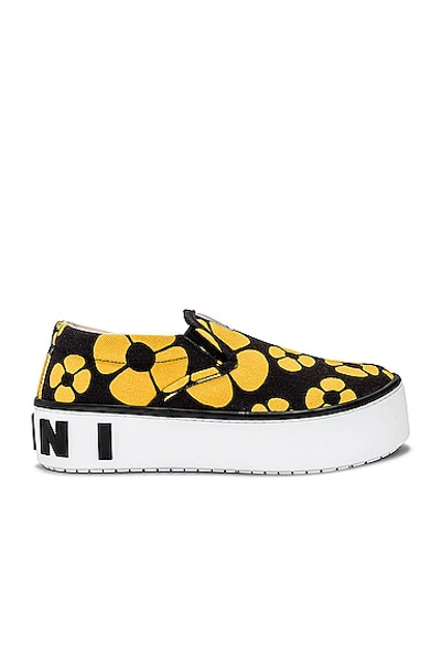 Marni X Carhartt Paw Sneakers In Yellow