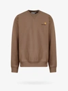 Carhartt Sweatshirt In Brown