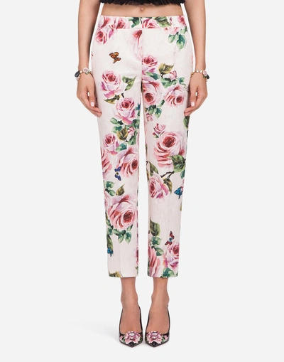Dolce & Gabbana Brocade Print Pants In Pink