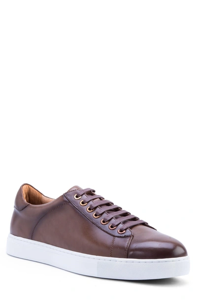 Zanzara Music Low Top Sneaker In Brown Leather