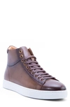 Zanzara Spinback High Top Sneaker In Brown Leather