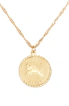 Cam Ascending Zodiac Medallion Necklace In Aries
