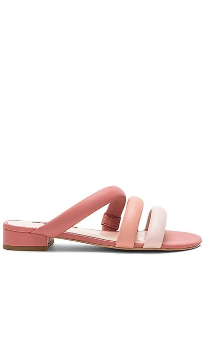 Avec Les Filles Women's Carla Leather Color-block Slide Sandals In Dusty Rose