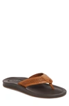 Tommy Bahama Shallows Edge Flip Flop In Tan Leather