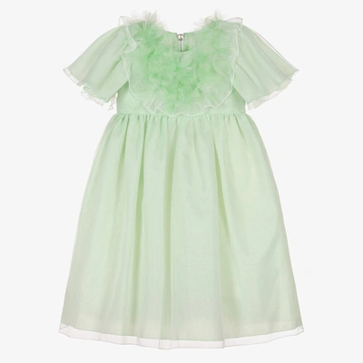 Graci Kids' Girls Green Organza Dress