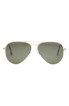 Electric Av1 Xl 51mm Polarized Aviator Sunglasses In Shiny Gold/ Grey Polar