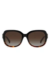 Kate Spade Laynes 55mm Gradient Sunglasses In Black Havana/ Brown Polar