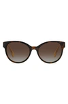 Kate Spade Nathalie 55mm Gradient Round Sunglasses In Havana/ Brown Polar