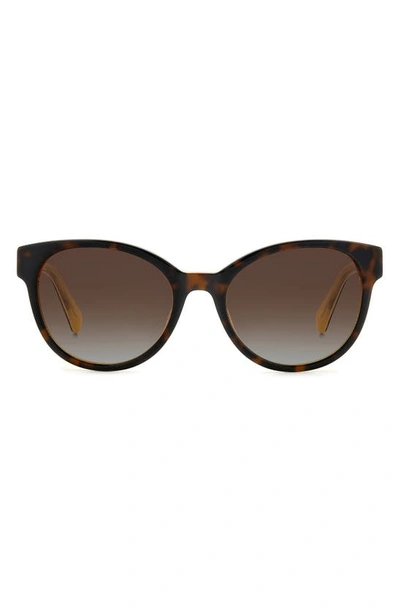 Kate Spade Nathalie 55mm Gradient Round Sunglasses In Havana/ Brown Polar