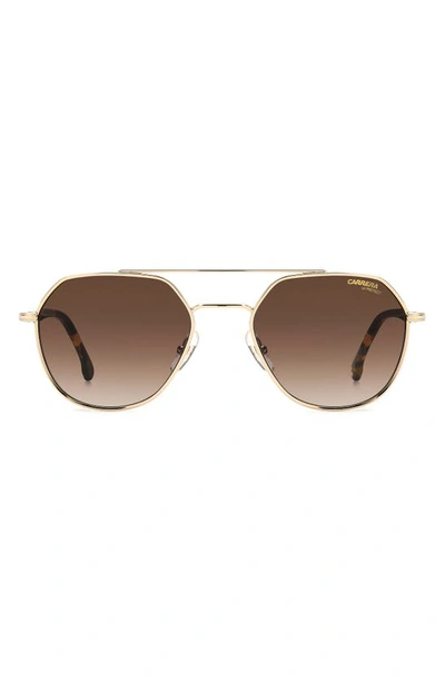 Carrera Eyewear 53mm Round Sunglasses In Gold Havana/ Brown