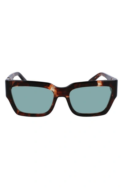 Longchamp 55mm Rectangular Sunglasses In Havana