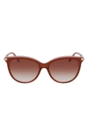 Longchamp Tea Cup 54mm Sunglasses In Brown/ Rose