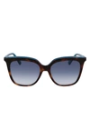 Longchamp 53mm Rectangular Sunglasses In Havana/ Azure