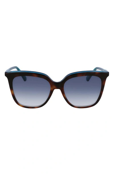 Longchamp 53mm Rectangular Sunglasses In Havana/ Azure