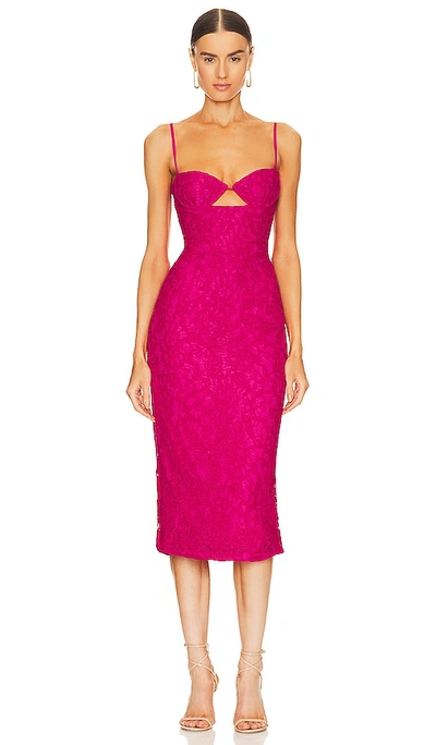 Bardot Ivanna Lace Midi Dress In Fuschia