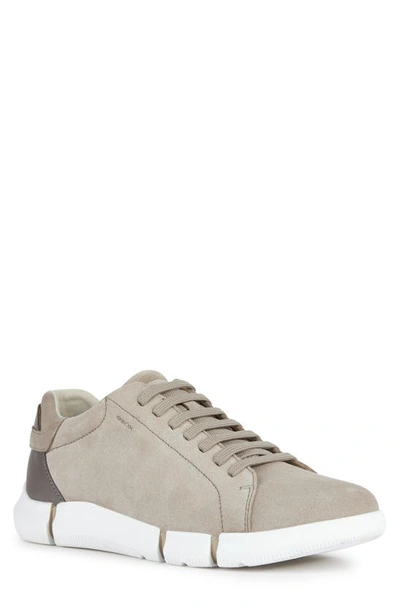 Geox Adacter Sneaker In Sand