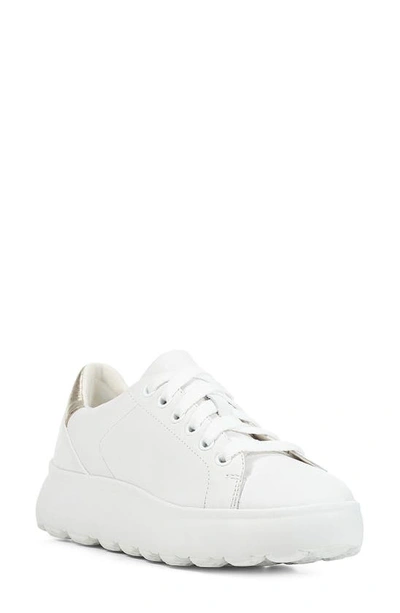 Geox Spherica Sneaker In White