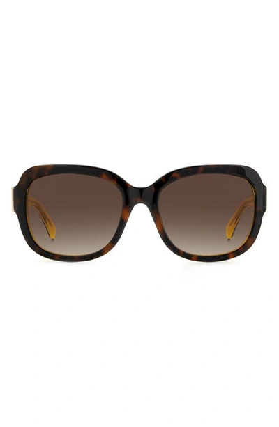 Kate Spade Laynes 55mm Gradient Sunglasses In Havana Yellow/ Brown