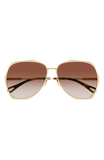 Chloé Golden Tortoiseshell Metal Aviator Sunglasses In Gold Brown