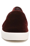 Vince Blair 5 Slip-on Sneaker In Pinot