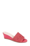 Patricia Green Siesta Swirled Raffia Wedge Sandals In Pink