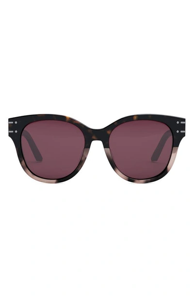Dior Signature B6f Rounded Acetate Butterfly Sunglasses In Dark Havana Borde