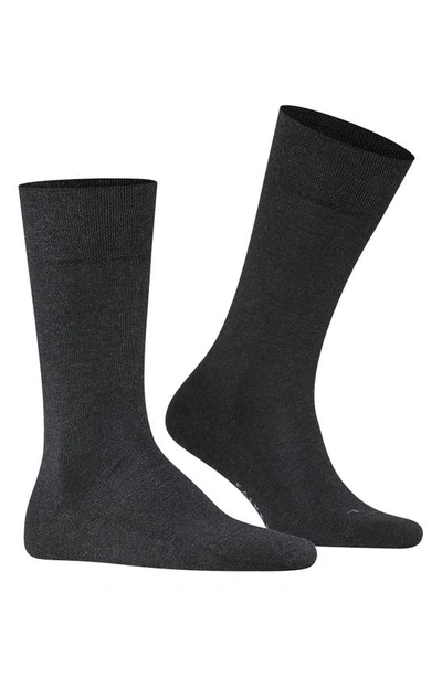 Falke Sensitive London Cotton Blend Solid Socks In Anthra Melange