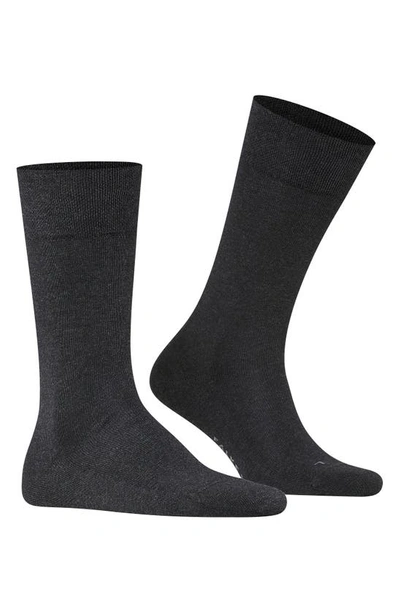 Falke Sensitive London Cotton Blend Solid Socks In Ant Melange