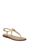 Sam Edelman Gigi Signet Sandal In Almond Patent