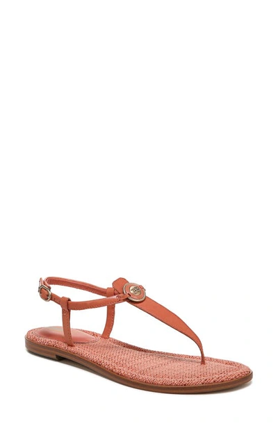 Sam Edelman Gigi Signet Sandal In Terracotta Pink Leather