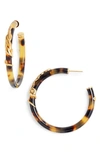Gas Bijoux Cobra Hoop Earrings In Tortoise