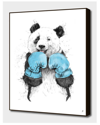 Curioos The Winner By Balazs Solti