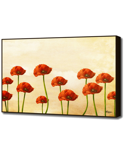 Curioos Where The Poppies Bloom By Diogo Verissimo