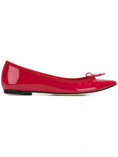 Repetto Pointed Toe Ballerinas