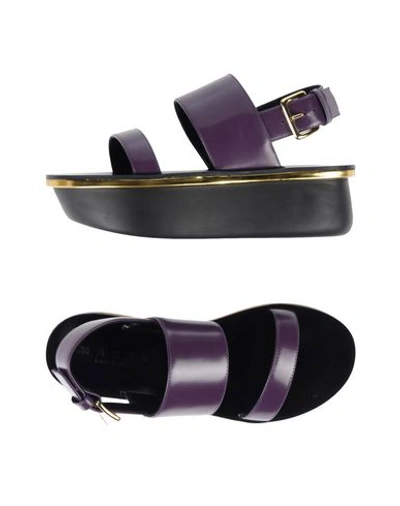 Marni Sandals In Purple