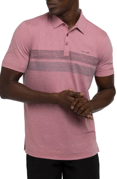 Travismathew King Of Cabo Stretch Polo Shirt In Heather Earth Red