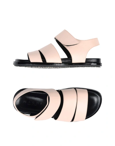 Marni Sandals In Light Pink
