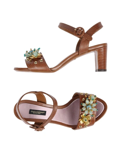 Dolce & Gabbana Sandals In Brown